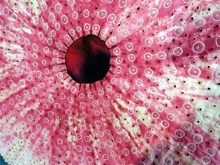 Urchin I (detail) textile