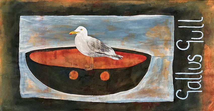 Gallus Gull Gallus Gull